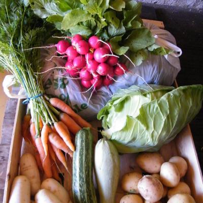 panier légumes bio les potagers de la lande Saint yrieix la perche